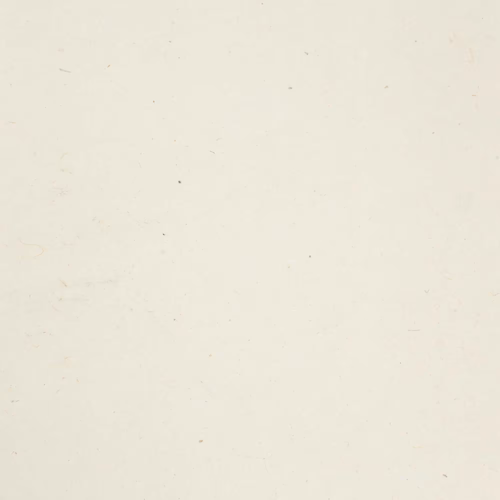 A4 – Lokta Craft Paper (30 sheet pack) – 20gms – Plain | www.artisangoods.co.uk 2 A4 - Lokta Craft Paper (30 sheet pack) - 20gms - Plain
