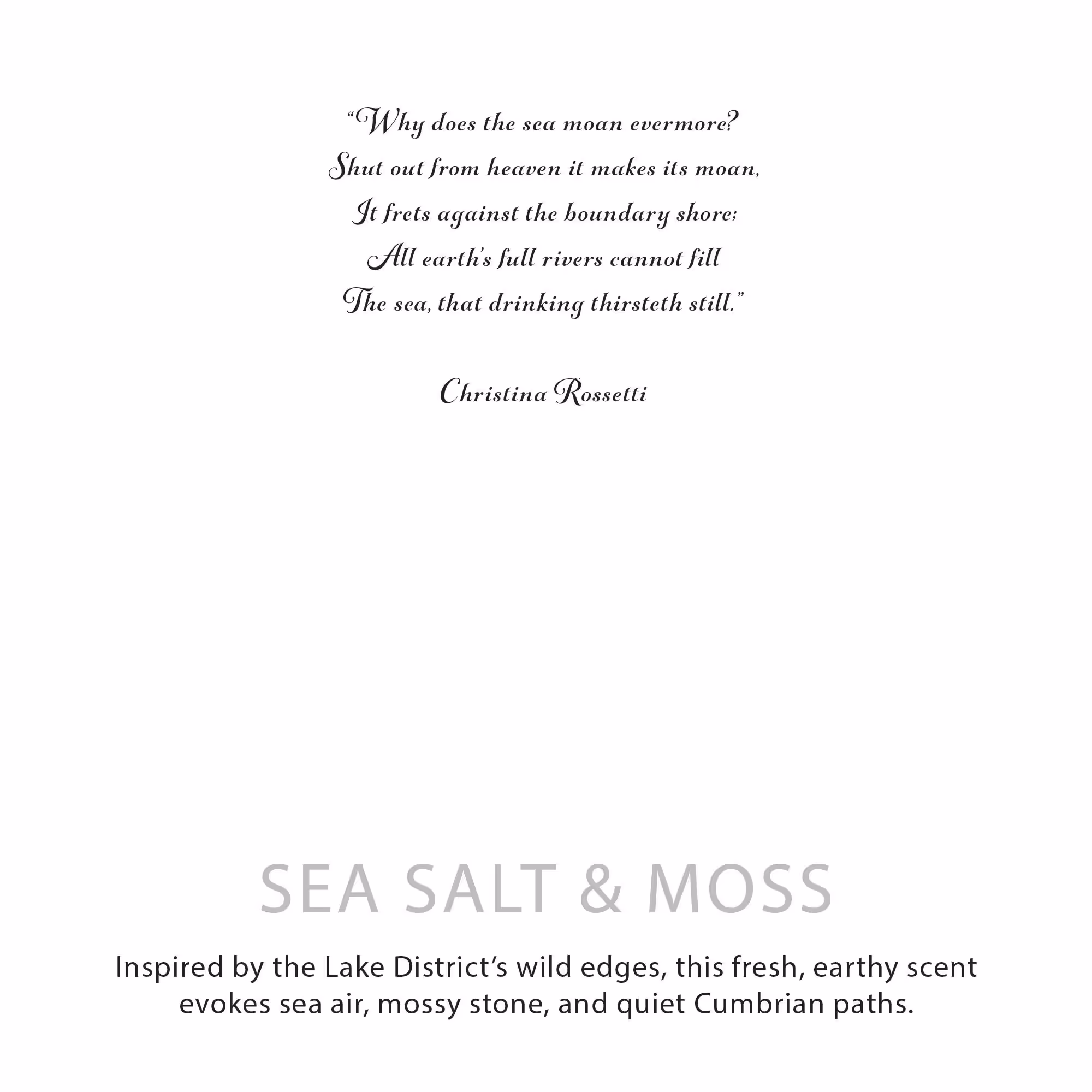 Agnes + Cat Botanical Soy Wax Candle – Seasalt & Moss | www.artisangoods.co.uk 10 Agnes + Cat Botanical Soy Wax Candle – Seasalt & Moss | www.artisangoods.co.uk 9