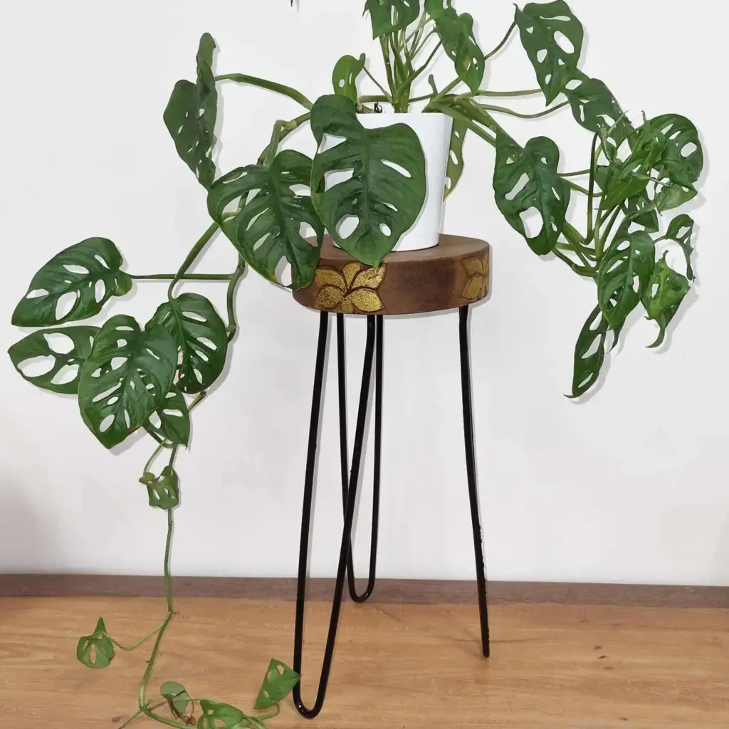 Albasia Wood Plant Stand – Natural & gold detail | www.artisangoods.co.uk 4
