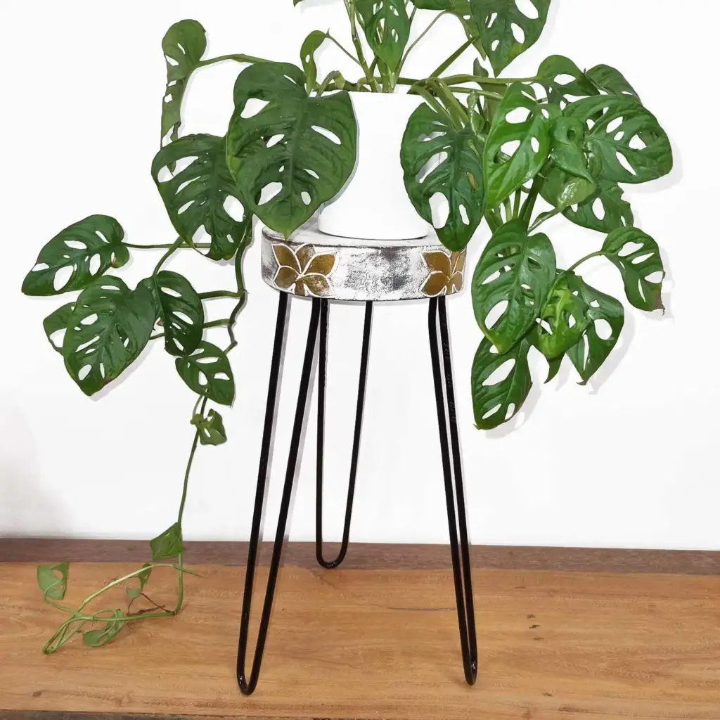 Albasia Wood Plant Stand – Whitewash | www.artisangoods.co.uk 2
