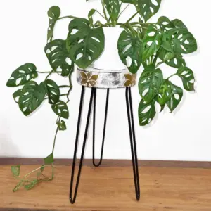 Albasia Wood Plant Stand – Whitewash | www.artisangoods.co.uk 2