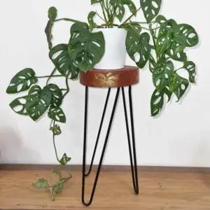 Albasia Wood Plant Stand – Whitewash | www.artisangoods.co.uk 4