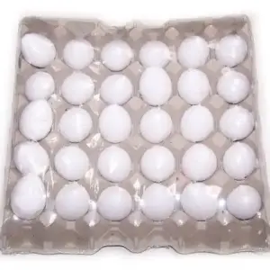 6 Bath Eggs in a Tray – Coconut | www.artisangoods.co.uk 2