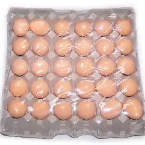 6 Bath Eggs in a Tray- Tangerine & Grapefruit | www.artisangoods.co.uk 2