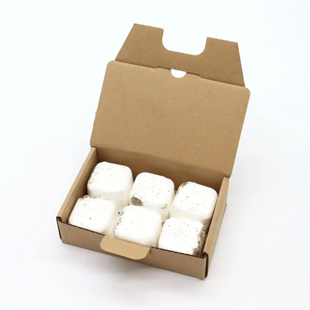 Set of 6 Aromatherapy Shower Steamers – Kick Start | www.artisangoods.co.uk 4