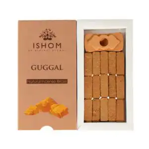 Pack of 15 Natural Incense Smudge Bricks and Burner - Guggal - Image 3