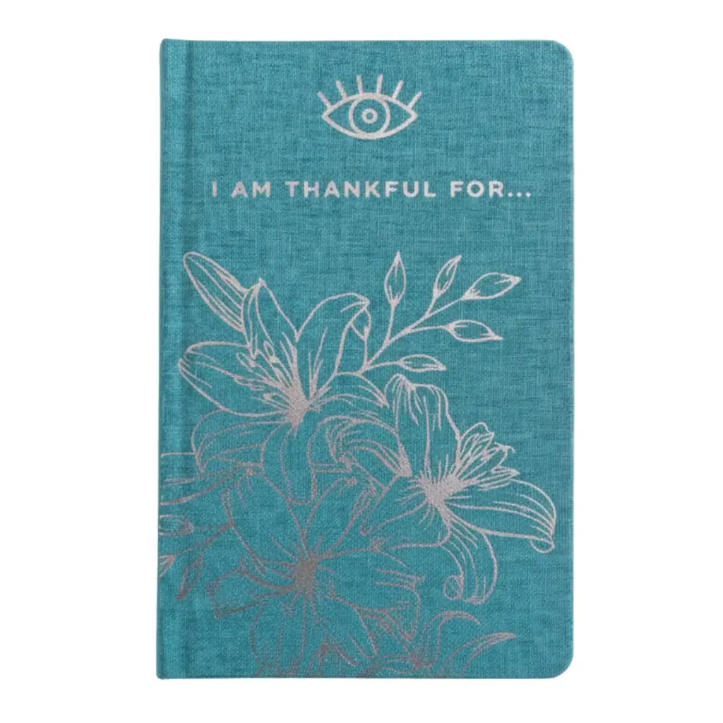 Blue Gratitude Journal with Silver Lining – 120 pages – I am Thankful For | www.artisangoods.co.uk 2