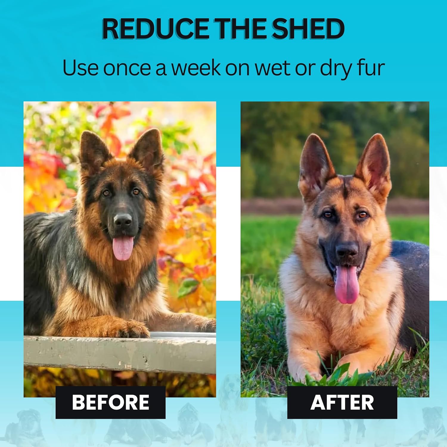 Candure Dematting Comb for Dogs and Cats Blue 17+9 Double-Sided
