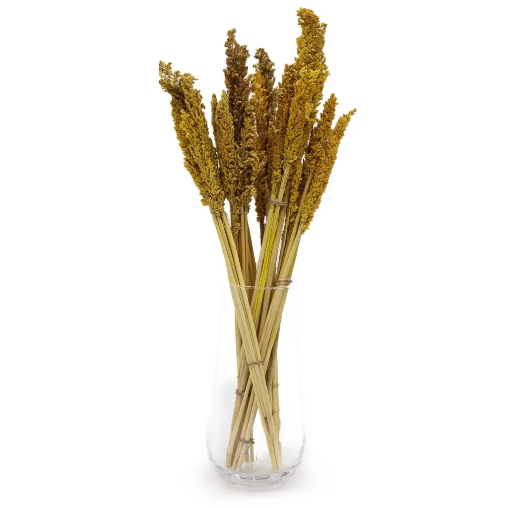 Cantal Grass Bunch – Amber | www.artisangoods.co.uk 5 Cantal Grass Bunch – Amber | www.artisangoods.co.uk 5