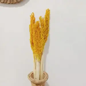 Cantal Grass Bunch – Amber | www.artisangoods.co.uk 3