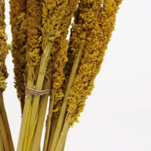 Cantal Grass Bunch – Amber | www.artisangoods.co.uk 6