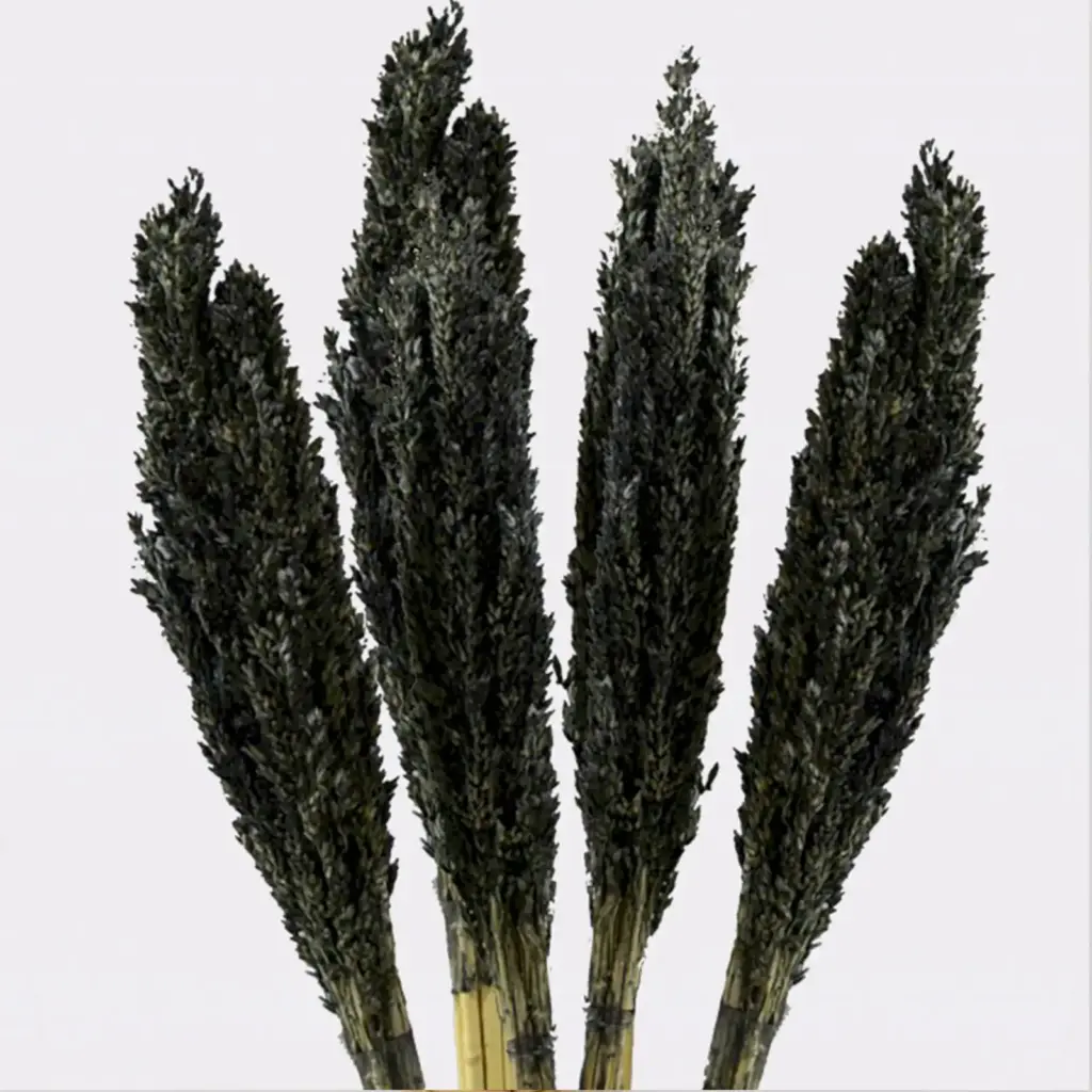 Cantal Grass Bunch – Black | www.artisangoods.co.uk 6