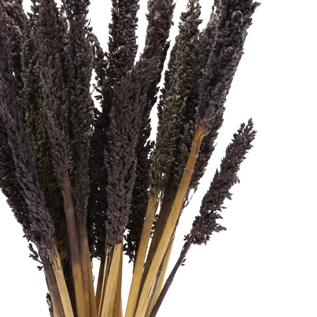 Cantal Grass Bunch – Black | www.artisangoods.co.uk 4