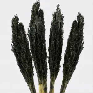 Cantal Grass Bunch – Black | www.artisangoods.co.uk 6