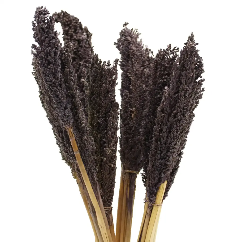 Cantal Grass Bunch – Black | www.artisangoods.co.uk