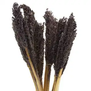 Cantal Grass Bunch – Black | www.artisangoods.co.uk 1