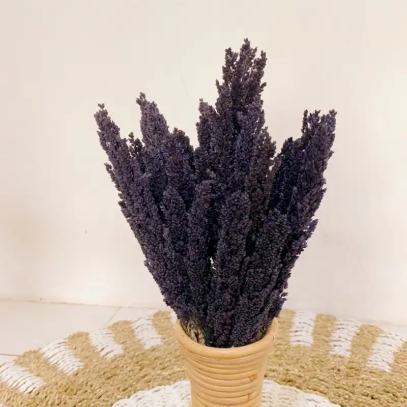 Cantal Grass Bunch – Black | www.artisangoods.co.uk 8 Cantal Grass Bunch – Black | www.artisangoods.co.uk 7