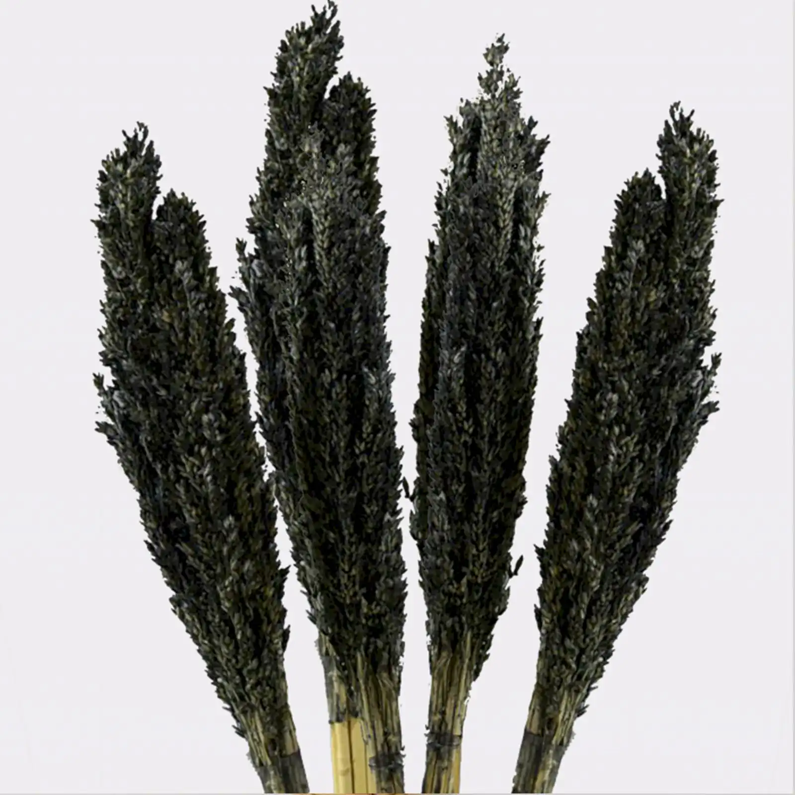 Cantal Grass Bunch – Black | www.artisangoods.co.uk 7 Cantal Grass Bunch – Black | www.artisangoods.co.uk 6
