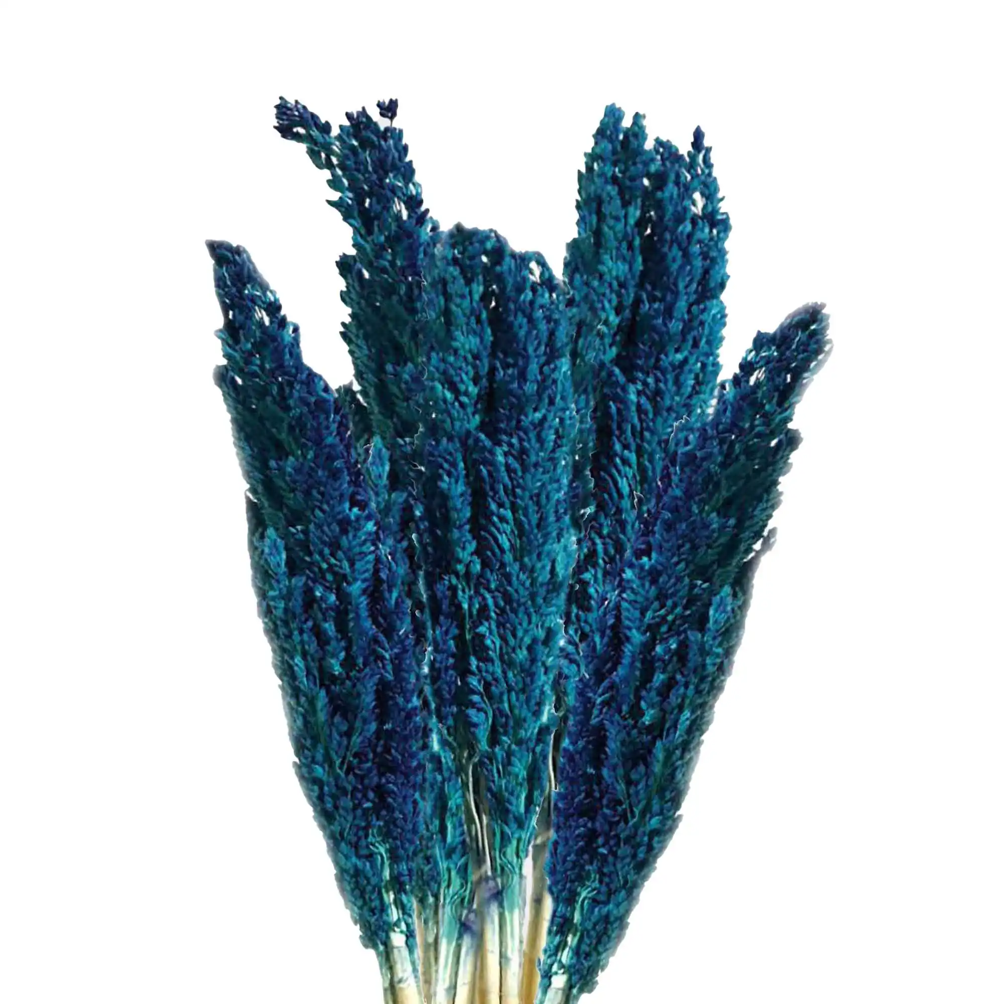 Cantal Grass Bunch – Blue | www.artisangoods.co.uk 2 Cantal Grass Bunch – Blue | www.artisangoods.co.uk 1