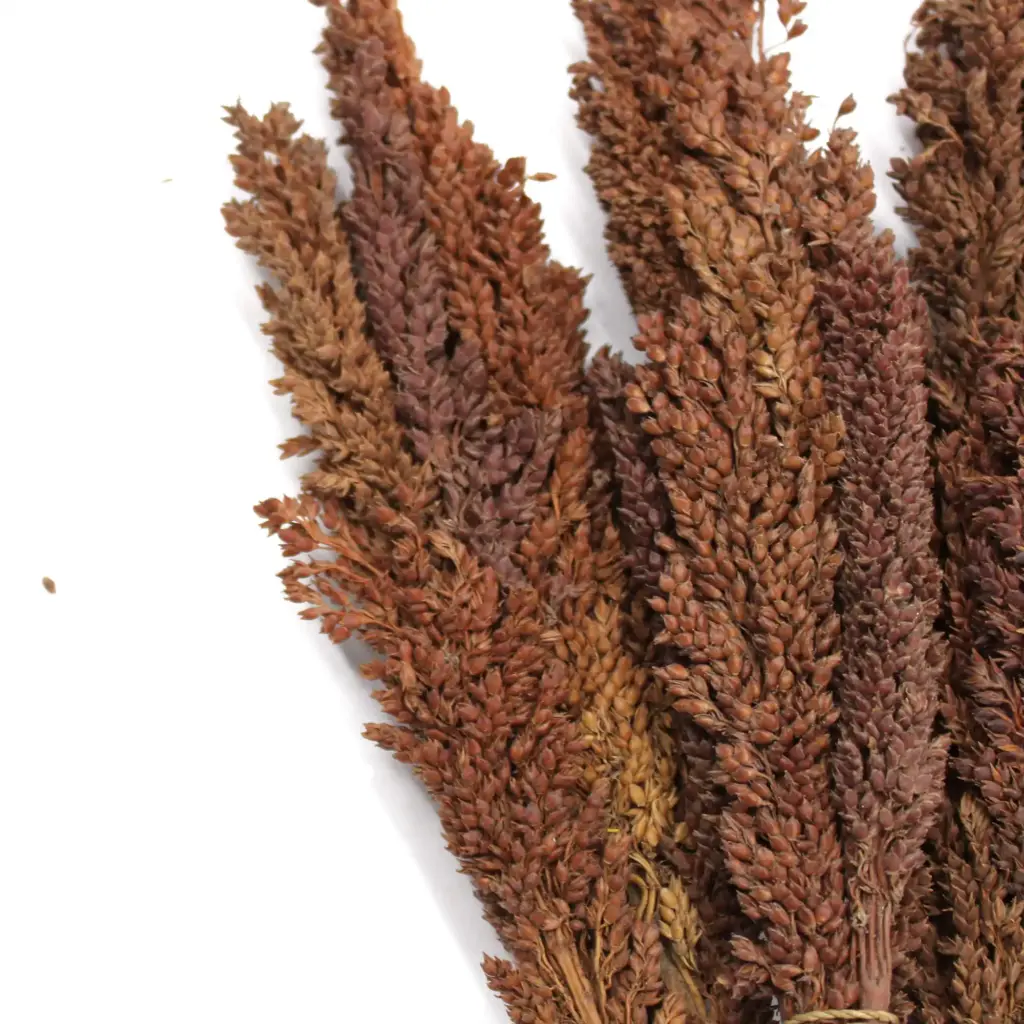 Cantal Grass Bunch – Chocolate | www.artisangoods.co.uk 4