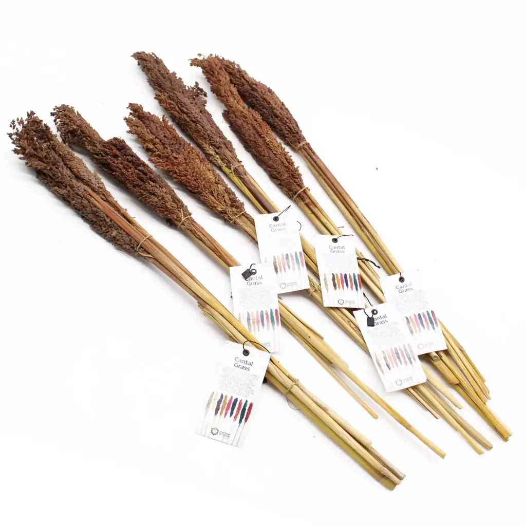 Cantal Grass Bunch – Chocolate | www.artisangoods.co.uk 2