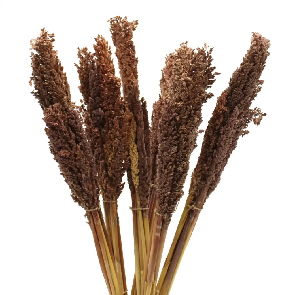 Cantal Grass Bunch – Chocolate | www.artisangoods.co.uk