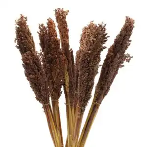 Cantal Grass Bunch – Chocolate | www.artisangoods.co.uk 1