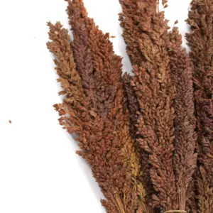 Cantal Grass Bunch – Chocolate | www.artisangoods.co.uk 4