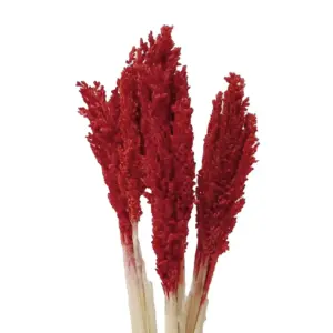 Cantal Grass Bunch – Fire | www.artisangoods.co.uk 2