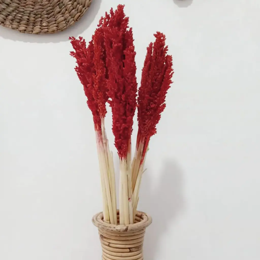 Cantal Grass Bunch – Fire | www.artisangoods.co.uk