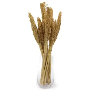 Cantal Grass Bunch – Natural | www.artisangoods.co.uk 8