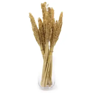 Cantal Grass Bunch – Natural | www.artisangoods.co.uk 10
