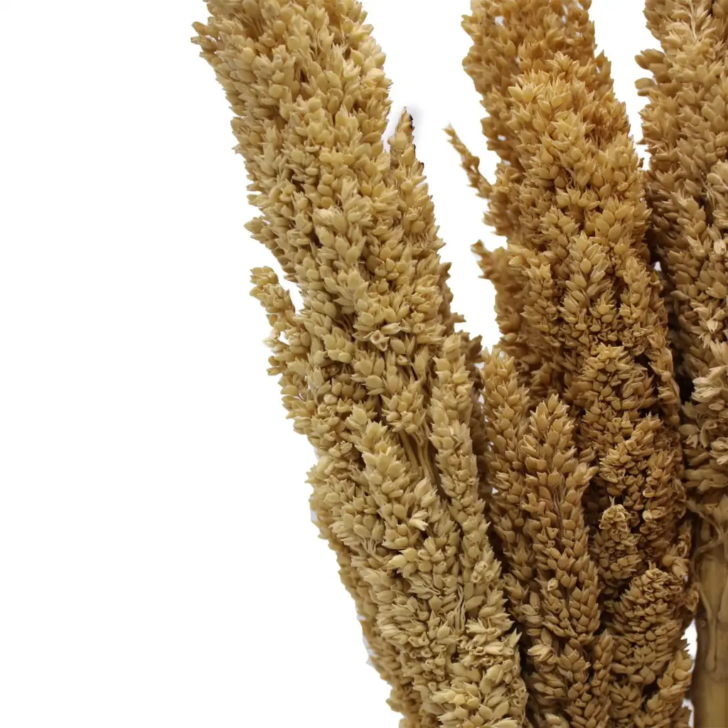 Cantal Grass Bunch – Natural | www.artisangoods.co.uk 9 Cantal Grass Bunch – Natural | www.artisangoods.co.uk 9