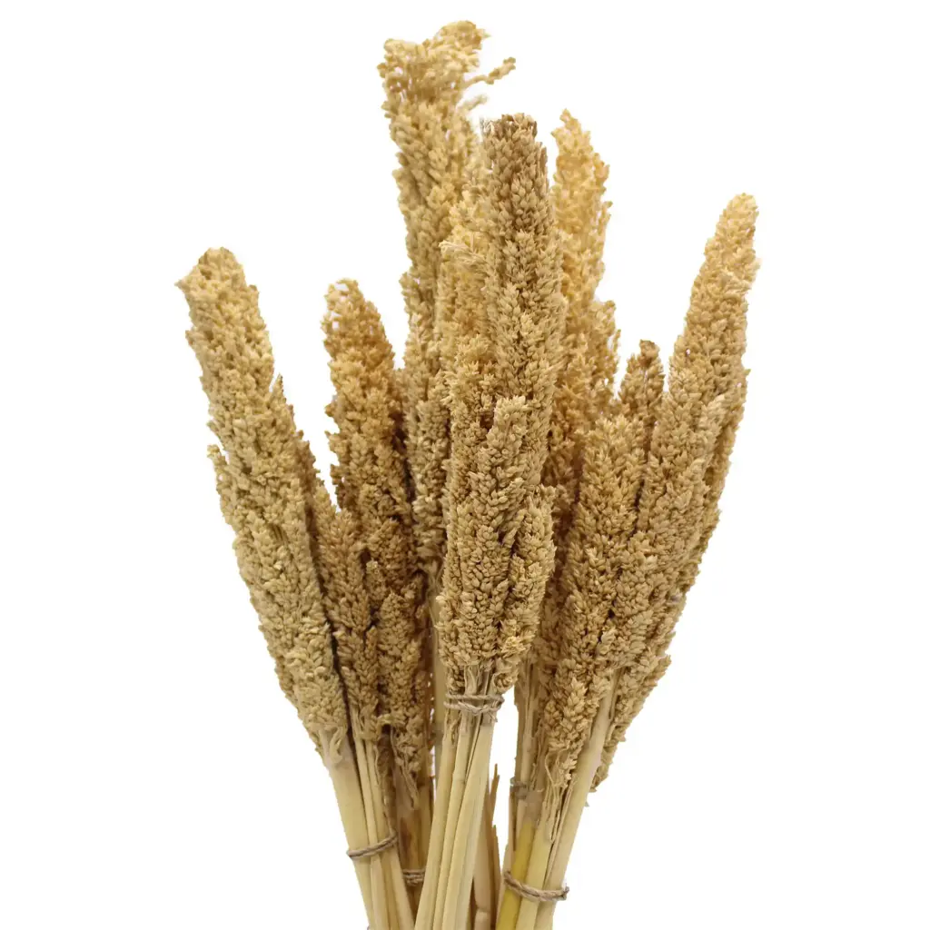 Cantal Grass Bunch – Natural | www.artisangoods.co.uk 6 Cantal Grass Bunch – Natural | www.artisangoods.co.uk 6