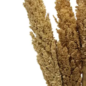 Cantal Grass Bunch – Natural | www.artisangoods.co.uk 9