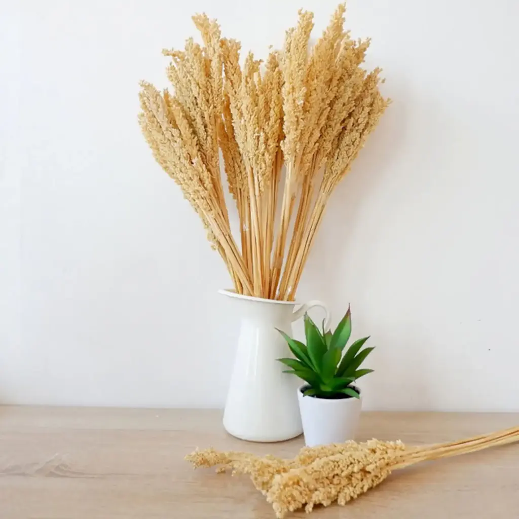 Cantal Grass Bunch – Natural | www.artisangoods.co.uk 2 Cantal Grass Bunch – Natural | www.artisangoods.co.uk 2