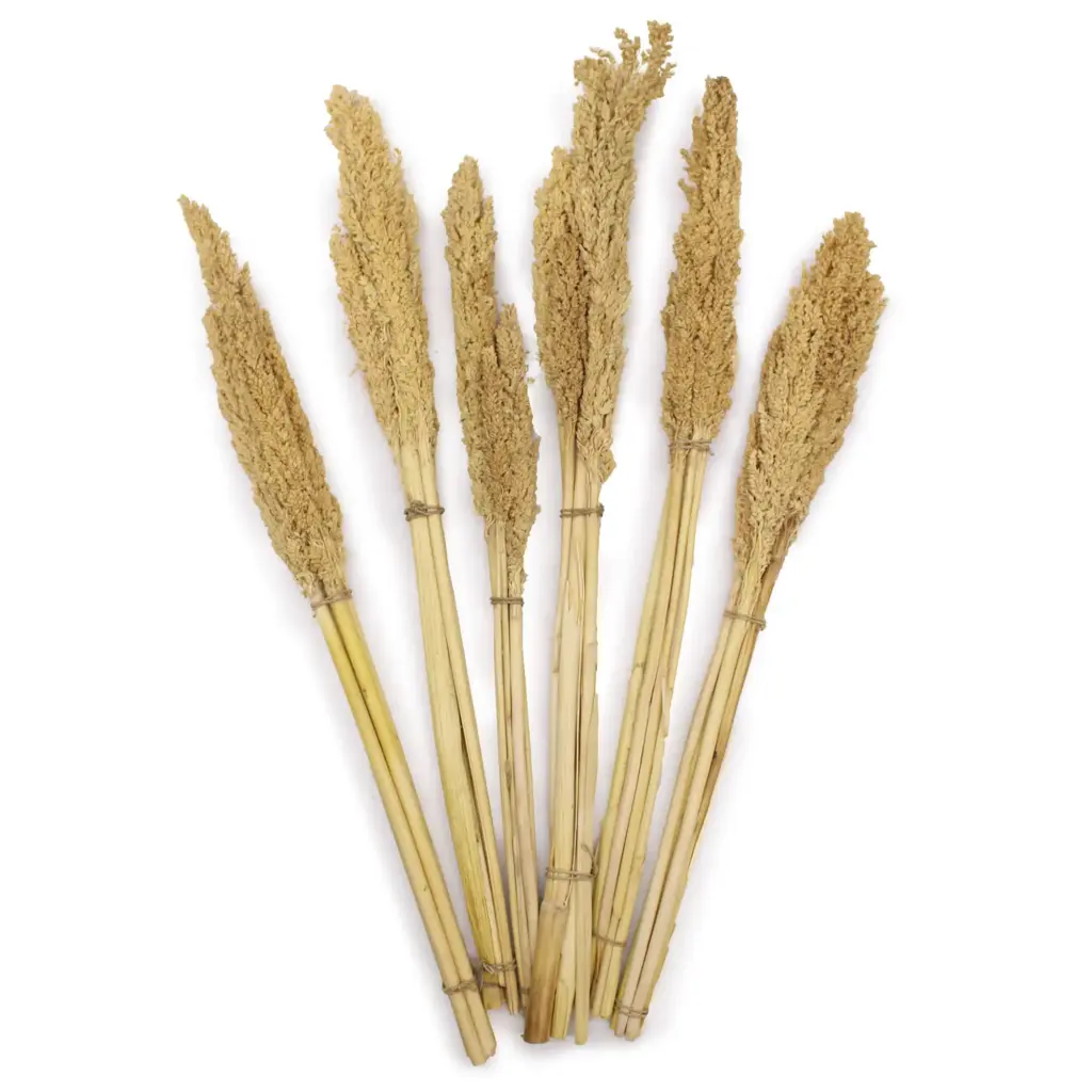 Cantal Grass Bunch – Natural | www.artisangoods.co.uk