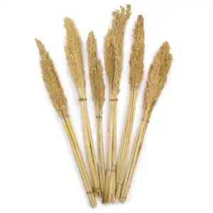 Cantal Grass Bunch – Natural | www.artisangoods.co.uk 1