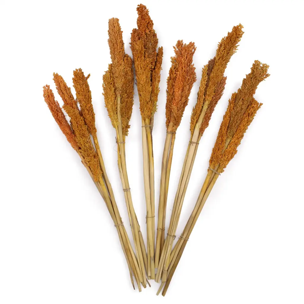 Cantal Grass Bunch – Orange | www.artisangoods.co.uk 3 Cantal Grass Bunch – Orange | www.artisangoods.co.uk 3