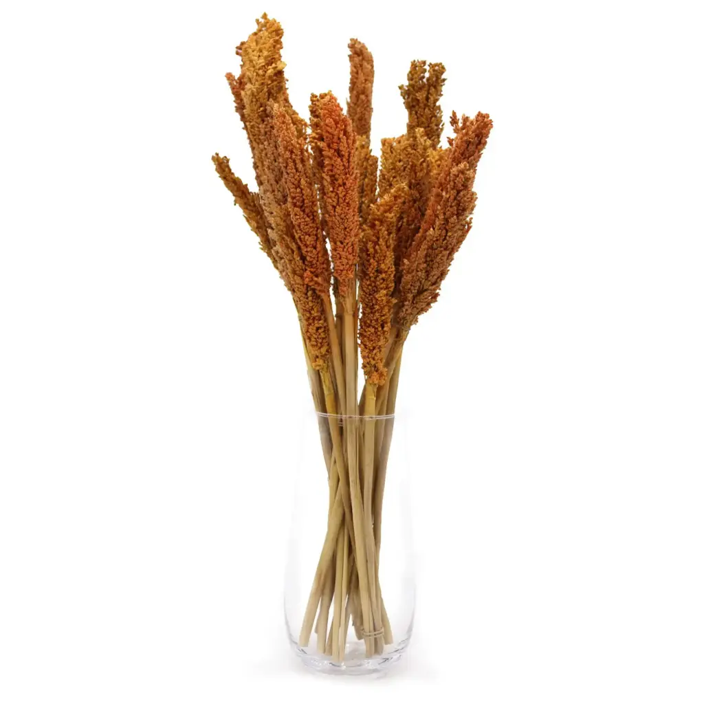 Cantal Grass Bunch – Orange | www.artisangoods.co.uk 4 Cantal Grass Bunch – Orange | www.artisangoods.co.uk 4