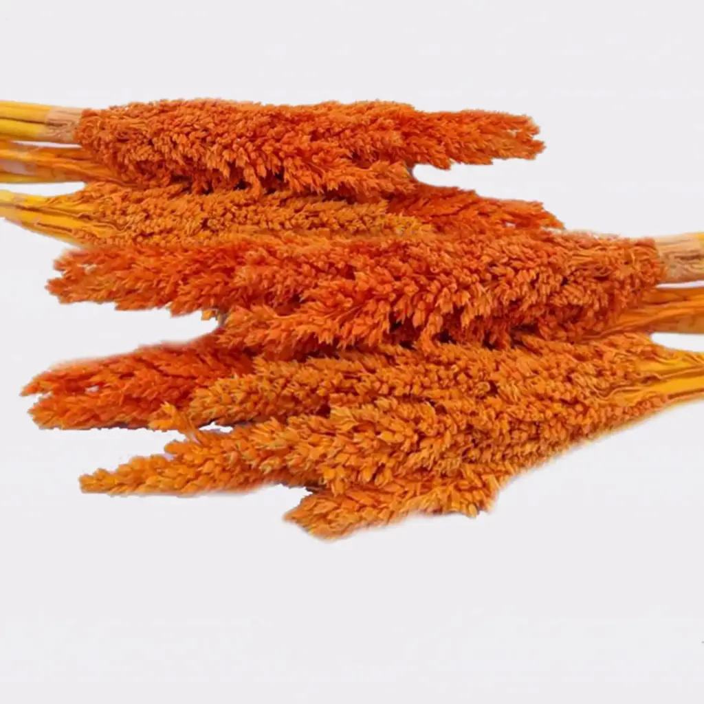 Cantal Grass Bunch – Orange | www.artisangoods.co.uk 2 Cantal Grass Bunch – Orange | www.artisangoods.co.uk 2