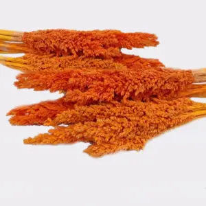 Cantal Grass Bunch – Orange | www.artisangoods.co.uk 2