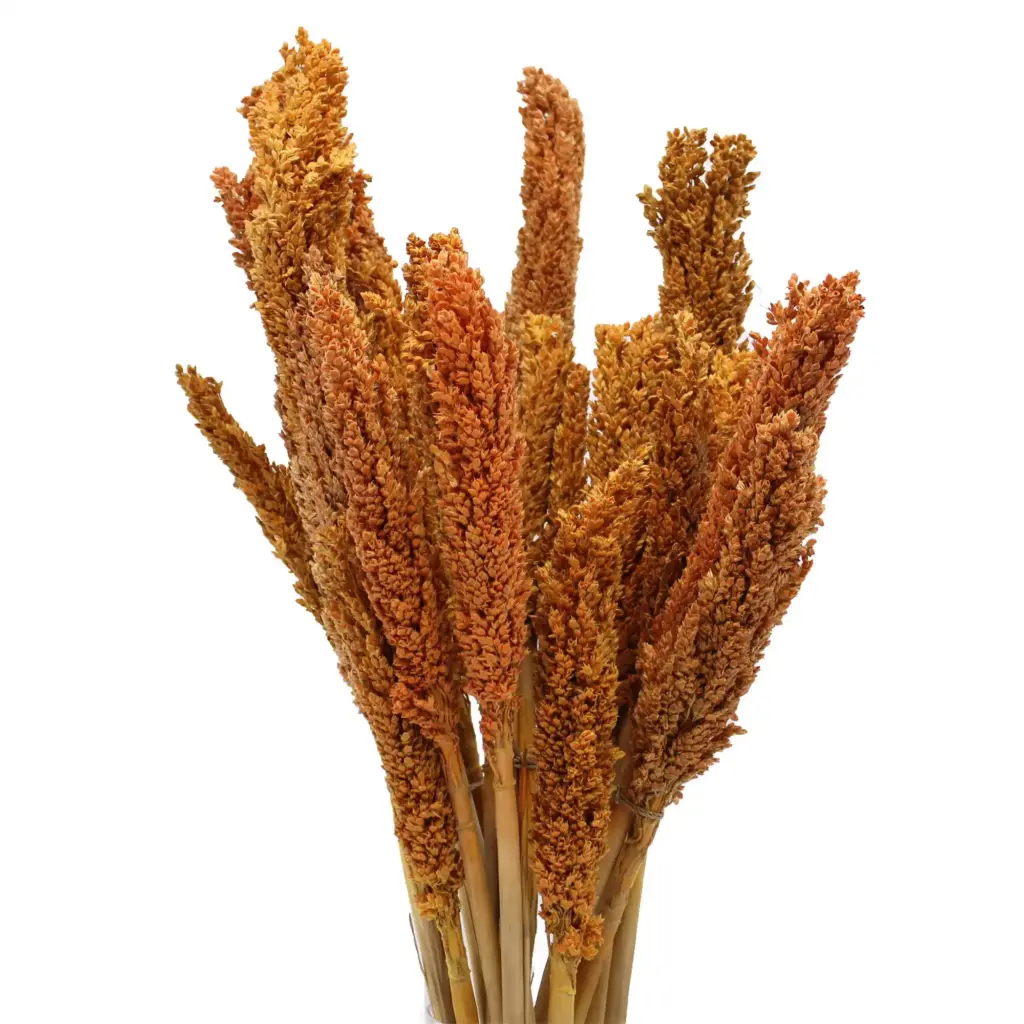 Cantal Grass Bunch – Orange | www.artisangoods.co.uk