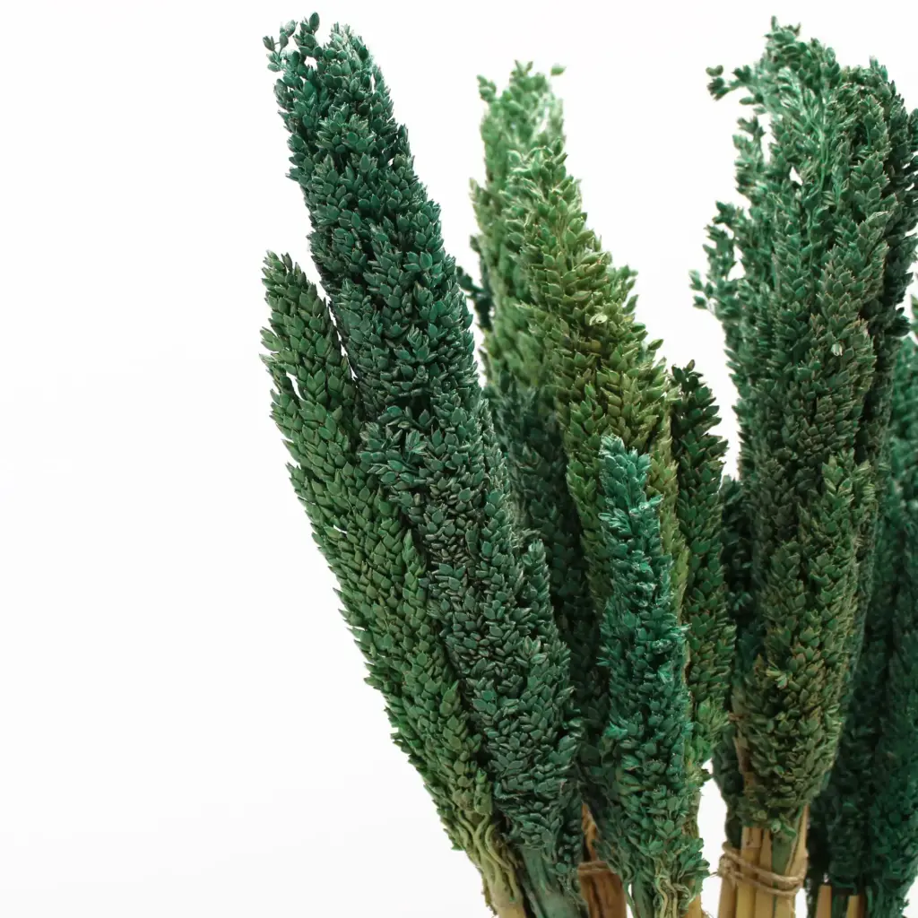 Cantal Grass Bunch – Teal | www.artisangoods.co.uk 4 Cantal Grass Bunch – Teal | www.artisangoods.co.uk 4