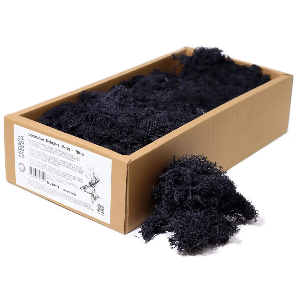 Decoration Reindeer Moss – Black – (approx 500gm) | www.artisangoods.co.uk
