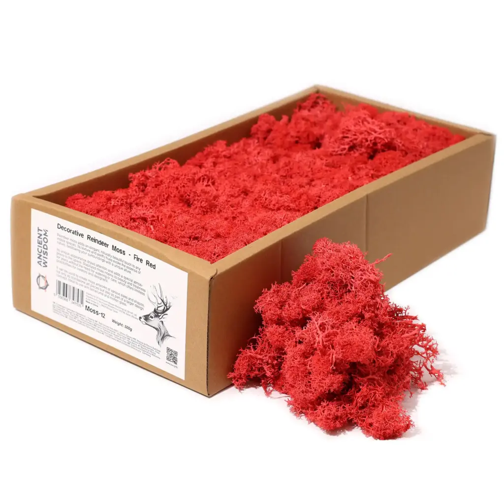 Decoration Reindeer Moss – Fire Red – (approx 500gm) | www.artisangoods.co.uk