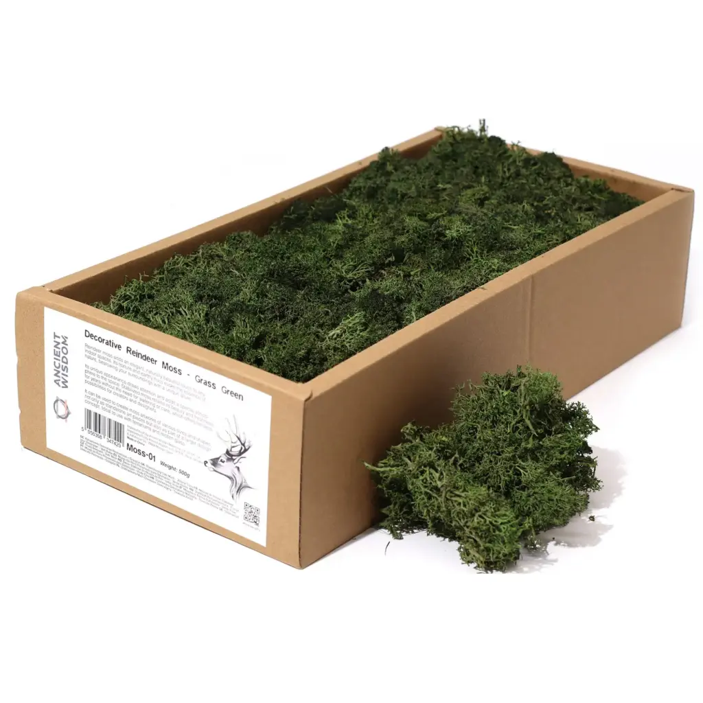 Decoration Reindeer Moss – Grass Green – (approx 500gm) | www.artisangoods.co.uk