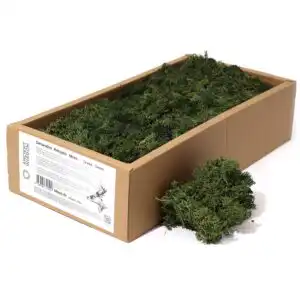 Decoration Reindeer Moss – Grass Green – (approx 500gm) | www.artisangoods.co.uk