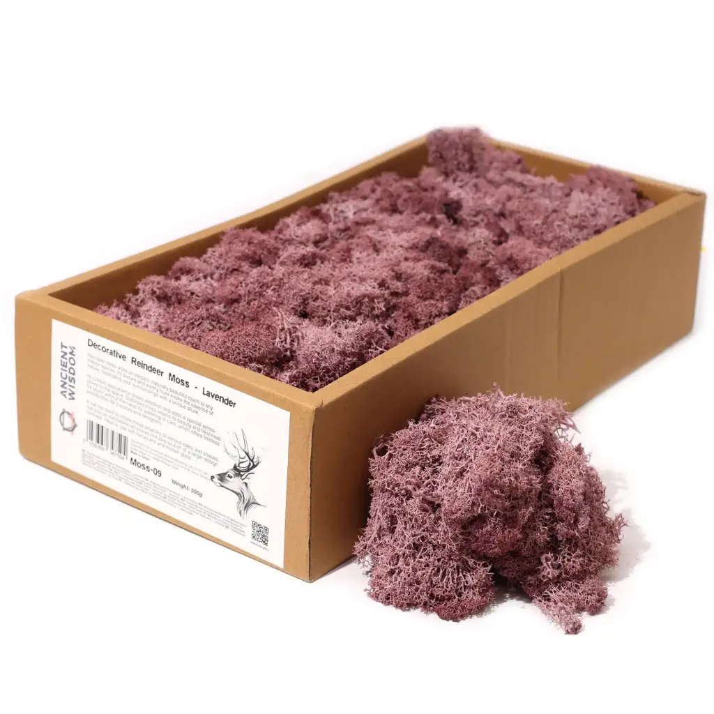 Decoration Reindeer Moss – Lavender – (approx 500gm) | www.artisangoods.co.uk