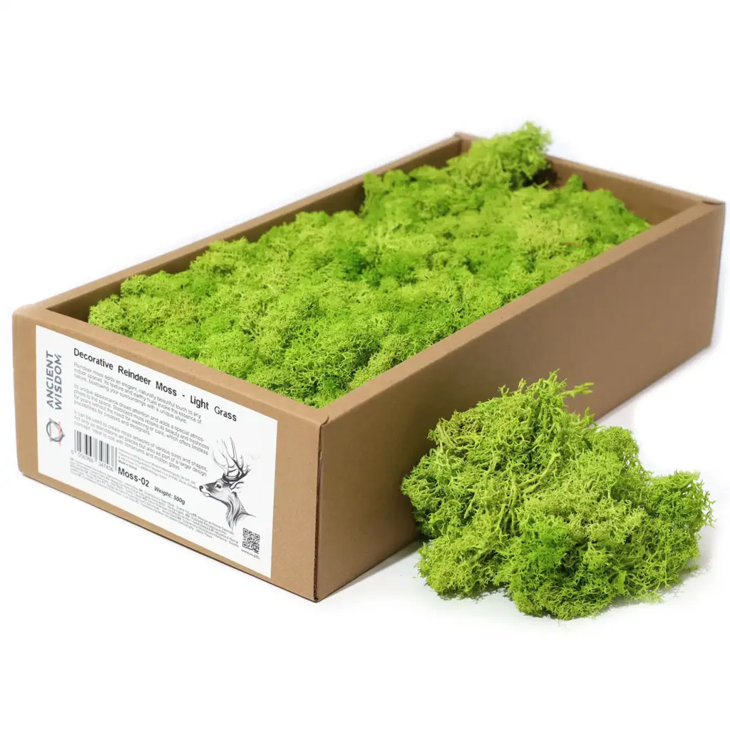 Decoration Reindeer Moss – Light Grass  – (approx 500gm) | www.artisangoods.co.uk